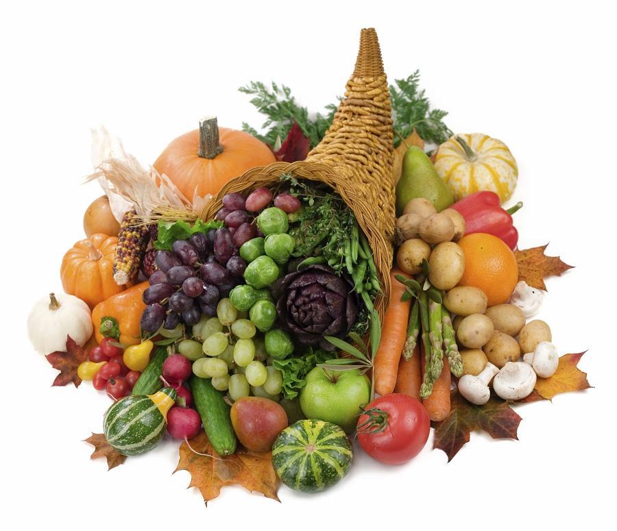 fotl cornucopia